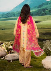 Meerak Stitched 3 Piece Emb Lawn Suit-Freesia