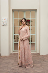 Rang Nirala By Manahils Stitched 3 Piece Formals Collection'2025-K-169-PEACH