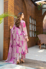 Fiona by Panache Apparel Stitched Collection-Haze