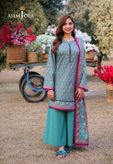Asim Jofa Prints Unstitched Drop 1 Ajuub-17 Printed Lawn 3 Pcs