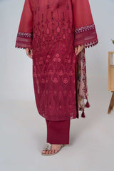Aayra Stitched 3 Piece Emb Lawn Suit-LL004SP1-RUST