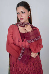 Aayra Stitched 3 Piece Emb Lawn Suit-LL004SP1-RUST
