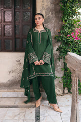 Winter Essentials By Mannat Clothing Stitched Collection-Payal