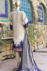 Affifa by Bin Saeed Stitched 3 Piece Embroidered Lawn Vol-01 Collection'2023-F-0477-Skin