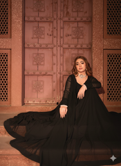 Gulab By Haniumaimaz Stitched 2 Piece Formals Suit-Ayla