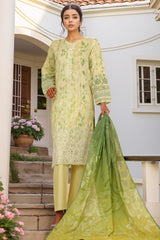 HZ Stitched 3 Piece Chikankari Cambric Collection'2025-LPK-3P-526