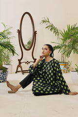 Dhaga Stitched 1 Piece Cambric Shirt Collection'2025-DSK133