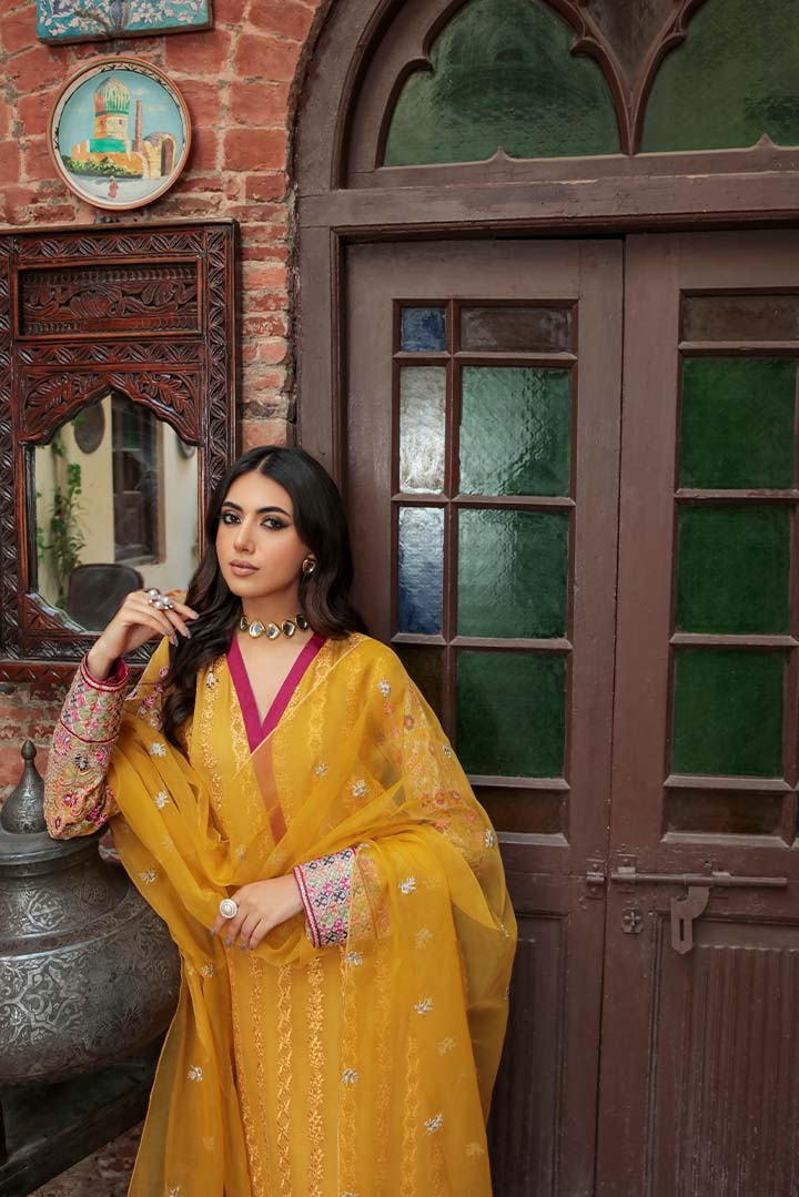 Panache Apparel Stitched Shirt Collection-Heer