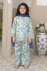 Pariyon Ki Duniya By Shanzey Stitched 3 Piece Co Ords Lawn Collection'2026-SHK-5304