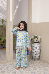 Pariyon Ki Duniya By Shanzey Stitched 3 Piece Co Ords Lawn Collection'2026-SHK-5304