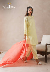 Asim Jofa Shawl Ajhs-06 Textured Shawl 1 Pc