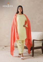 Asim Jofa Shawl Ajhs-06 Textured Shawl 1 Pc