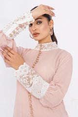 Riwayat By Anayra Amal Stitched 2 Piece Festive Collection-Inayat