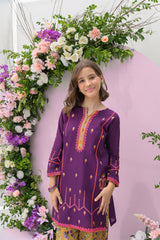 Silah By Fresh Bird Stitched 2 Piece Festive Summer Collection'2025-Insia
