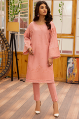 Janan By Esra Stitched 2 Piece Emb Lawn Collection-JN-23-16