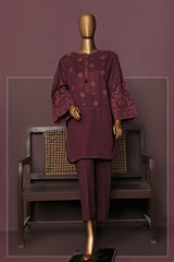 HZ Basics Stitched 2 Piece Solids Emb Khaddar Co Ords Collection'2025-KEC-112