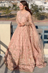 Meeral Stitched 3 Piece Luxury Formals Pret Collection'2025-Meeral - ML-LUX22V2-5 Dilara - Meeral Luxe