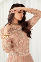 Meeral Stitched 3 Piece Luxury Formals Pret Collection'2025-Meeral - ML-LUX22V2-5 Dilara - Meeral Luxe