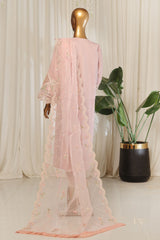 Bin Saeed Stitched 3 Piece Emb Chiffon Collection'2025-OWS-1790-Pink