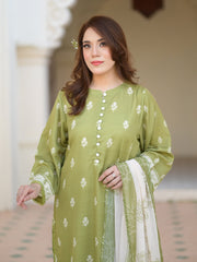 TNG Rang By TNG Stitched 3 Piece Collection'2024-Olive