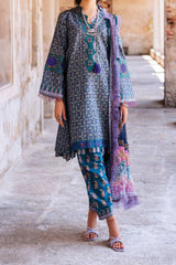 Taneez by Roheenaz Unstitched 3 Piece Block Printed Lawn Collection'2024-RNB-06-B-Elika