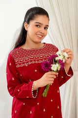 Ochre Clothing Girls Co-ords Cotton Embroidered 2 Pc Suit
