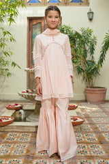 Chiffon Hand Adda Work 3 Pc Suit - Wear Ochre