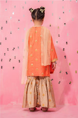 Ochre Clothing Cotton Silk Embellished 3 Pc Suit