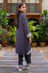 Ochre Clothing Rod Silk Embellished 2 Pc Suit