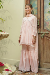 Chiffon Hand Adda Work 3 Pc Suit - Wear Ochre