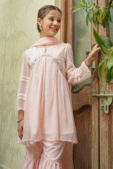 Chiffon Hand Adda Work 3 Pc Suit - Wear Ochre