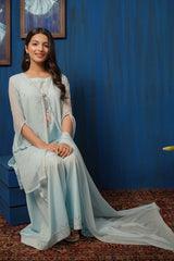 Chiffon Embroidered 3 Pc Suit - Wear Ochre