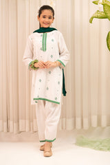 Ochre Clothing Chambray Cotton Embroidered 3 Pc Suit