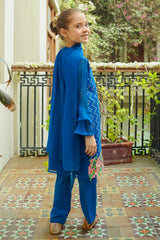 Chiffon Embroidered 3 Pc Suit - Wear Ochre
