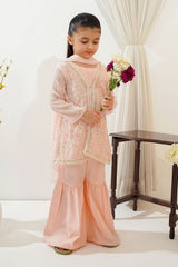 Ochre Clothing Toddlers Eastern Chiffon Embroidered 3 Pc Suit