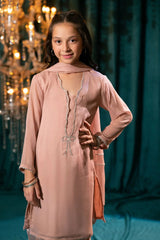 Ochre Clothing Kids-Chiffon Hand Adda Work 3 Pc Suit-AC-77