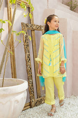 Chiffon Embroidered 3 Pc Suit - Wear Ochre