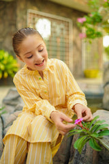 Ochre Clothing Chambray Cotton 2 Pc Suit Collection'2025