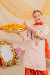 Ochre Clothing Stitched 3 Piece Emb Cotton Silk Collection'2025-SHD-16