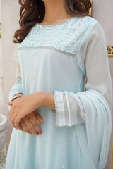 Chiffon Hand Adda Work 3 Pc Suit - Wear Ochre