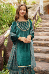 Ochre Clothing Velvet Hand Adda Work 3 Pc Suit