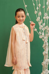 Chiffon Embroidered 3 Pc Suit - Wear Ochre