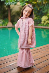 Ochre Clothing Toddlers Eastern Net Embroidered 3 Pc Suit
