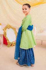 Ochre Clothing Stitched 3 Piece Emb Cotton Silk Collection'2025-INSHD-10