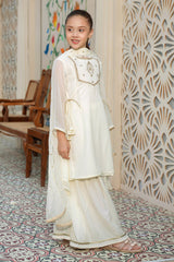 Chiffon Hand Adda Work 3 Pc Suit - Wear Ochre