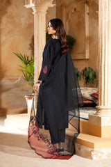 Monochrome By Inara Stitched 3 Piece Winter Collection'2026-RUBBY DR-02