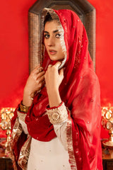 Aayra Stitched Formals Collection'2025-AY502 - Ceramic 3Pc