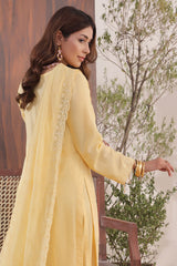 Anaya By Soghat Unstitched 3 Piece Emb Chikankari Collection'2025-SEC-04
