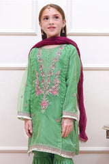 Shanzey Festive Vibes Stitched 3 Piece Formal Collection'2024-SHK-2006