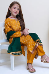 Shanzey Stitched 3 Piece Festive Emb Silk Vol-02 Collection'2024-SHK-2305